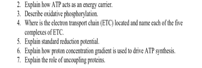 Atp free energy carrier pogil