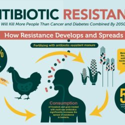 Antibiotic resistance brain pop video