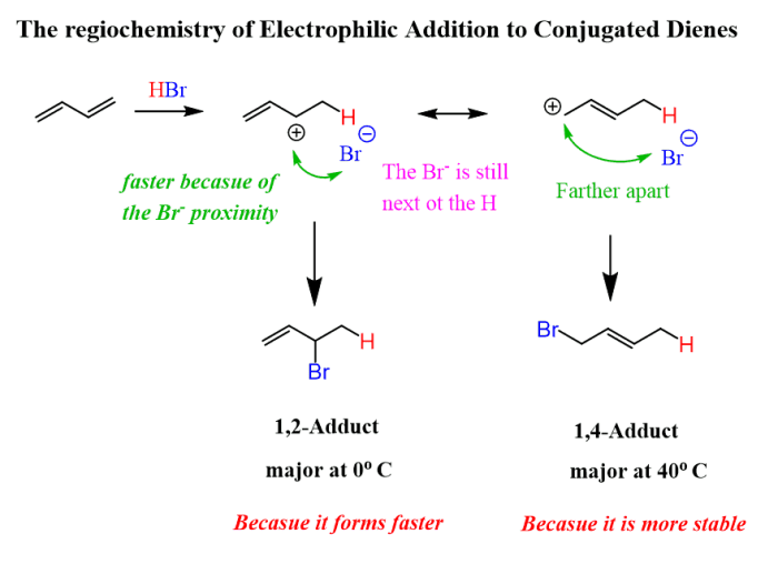 Electrophilic attack on conjugated dienes