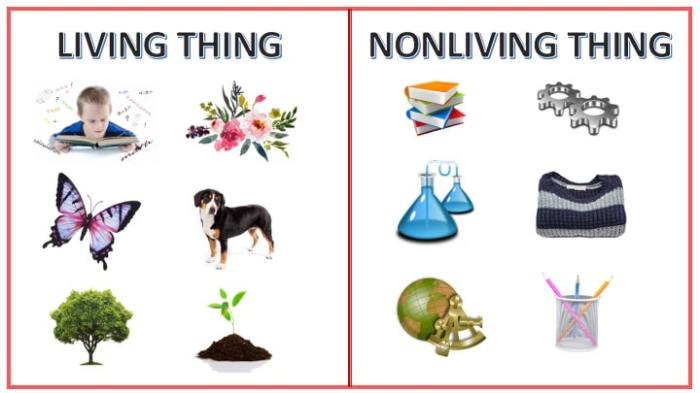 Living vs nonliving microscope slides