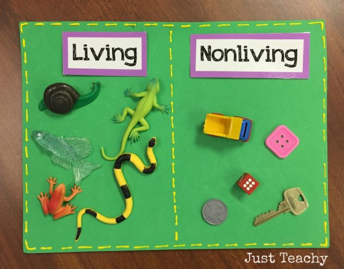 Living vs nonliving microscope slides