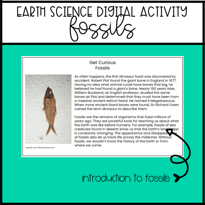 Fossils clues to the past answer key