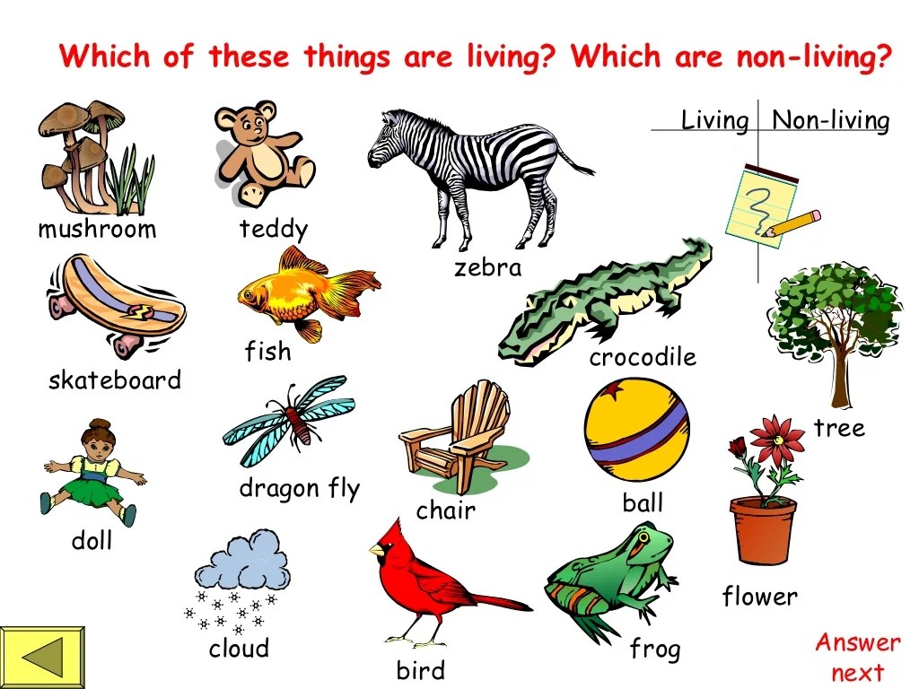 Living vs nonliving microscope slides