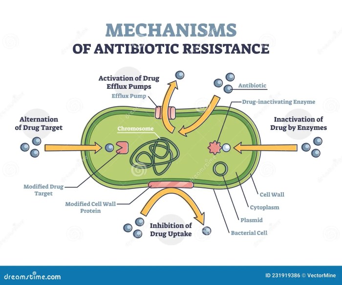 Resistance antibiotic acne antibiotics bacteria treatment oral idea good topical worsen both