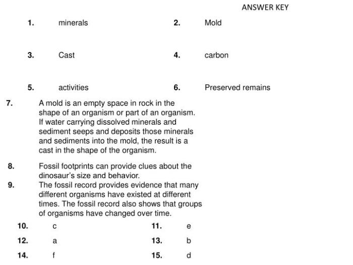 Fossils clues to the past answer key