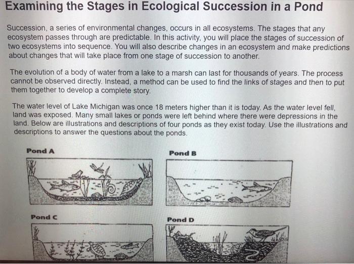 Examining the stages in ecological succession in a pond