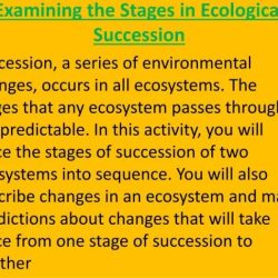 Succession ecological ponds wetland ecology climax