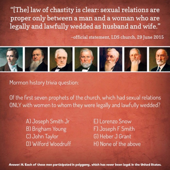 What is a serious violation of the law of chastity