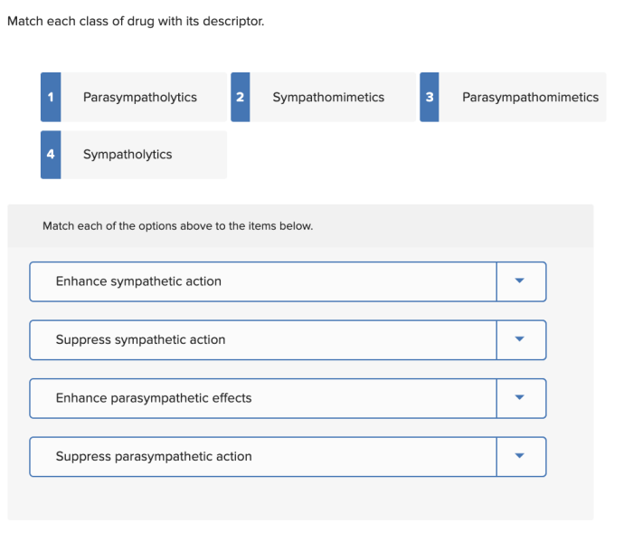 Match each class of drug with its descriptor